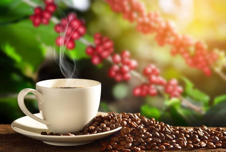 The World’s Best Cultivation Areas For Coffee