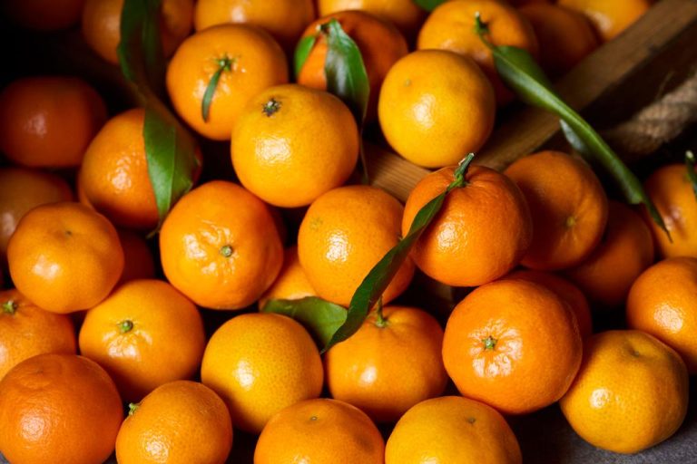 Citrus Fruits: Important Varieties, Effects and What You Should Know