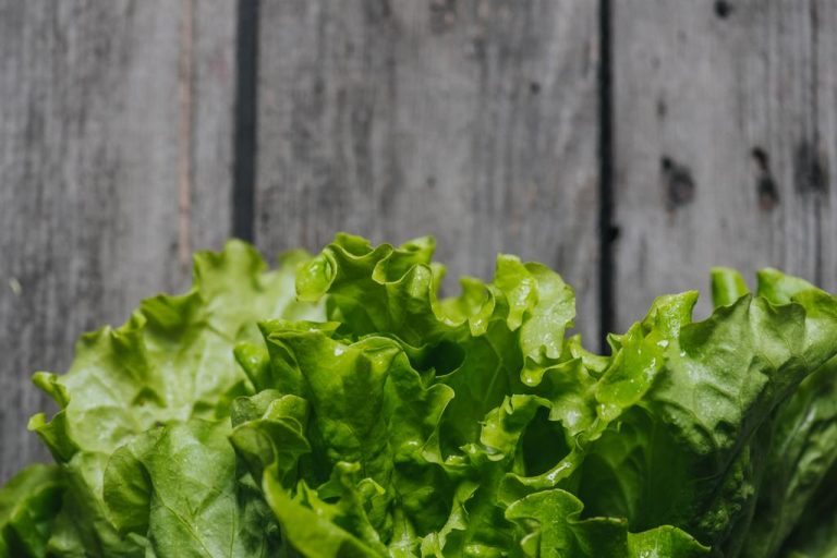 Lamb’s Lettuce: The Greens Are so Healthy