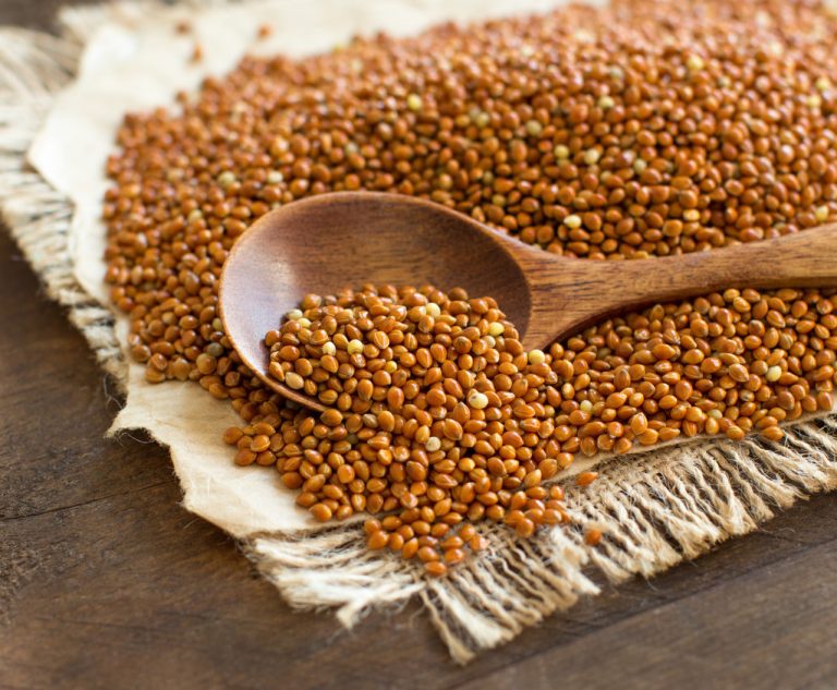 Brown Millet: Nutrients and Recipes For The Spelled Grain