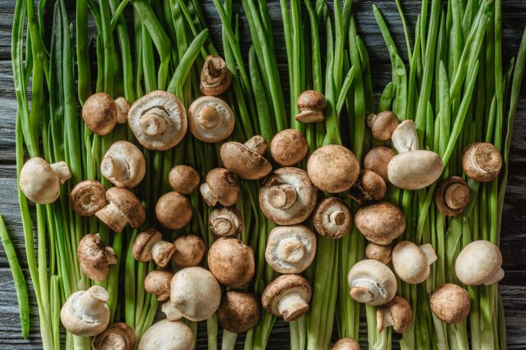 Grow Mushrooms Yourself: You Have to Pay Attention to That