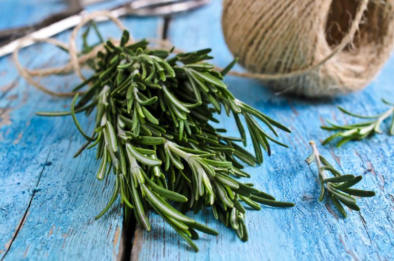 Rosemary Tea: Effect and Recipe to Make Yourself