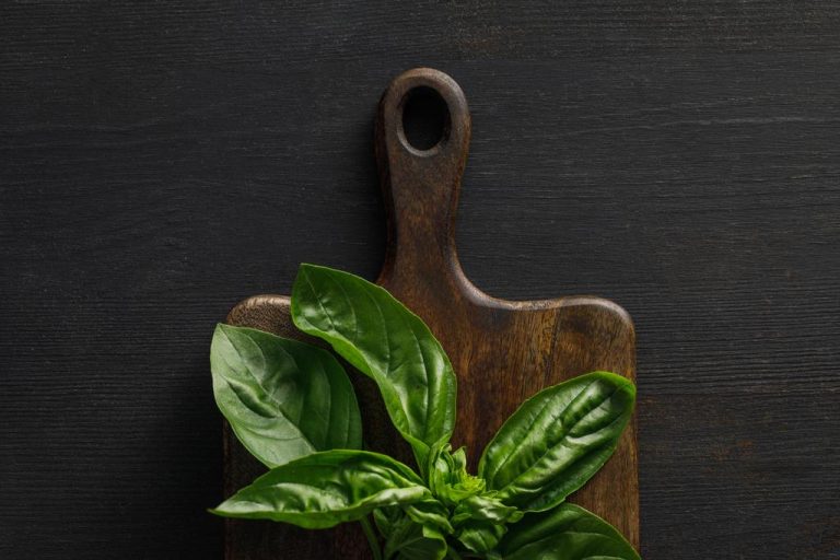 Basil Oil: Application, Effect and How to Make it