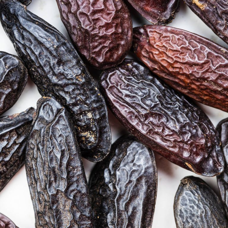 Tonka Bean: Taste and Effect of The Spice Plant