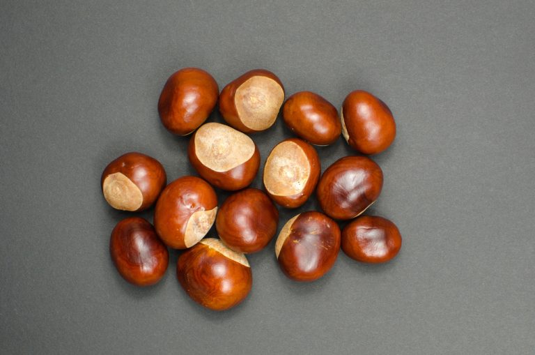 Healthy Chestnuts: Information on Nutritional Values and Calories of Chestnuts