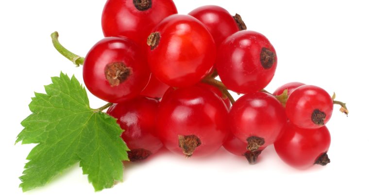 Freezing Currants: This is How They Taste Best