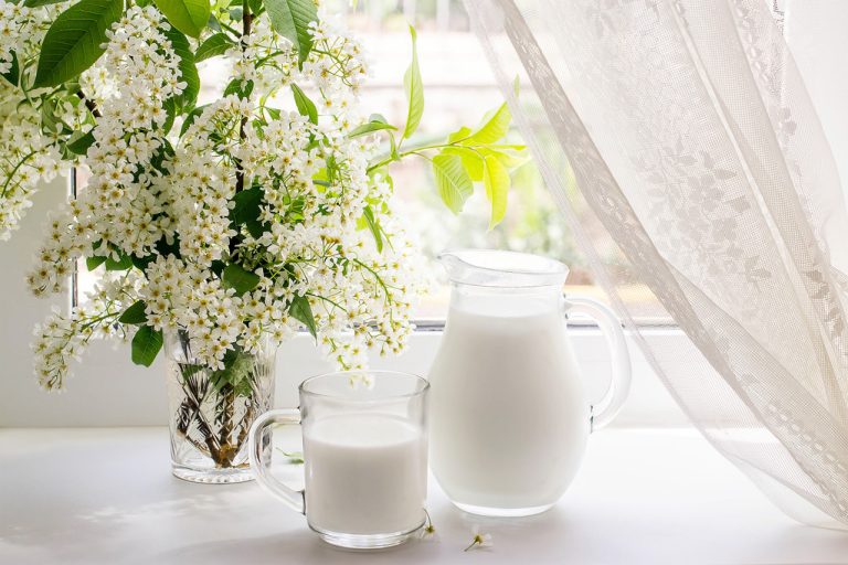 Spelled Milk, The Best Plant-Based Milk For Frothing