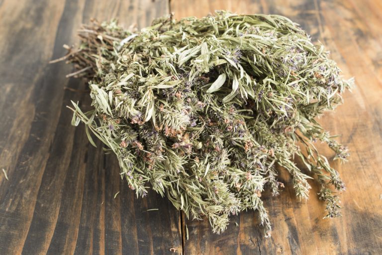 Summer Savory: Cultivation, Use and Effect