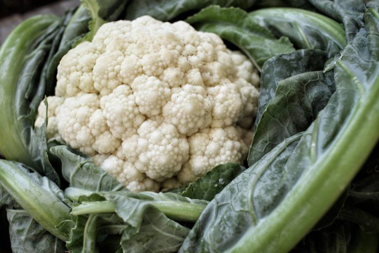 Eating Cauliflower Raw: You Should Pay Attention to This