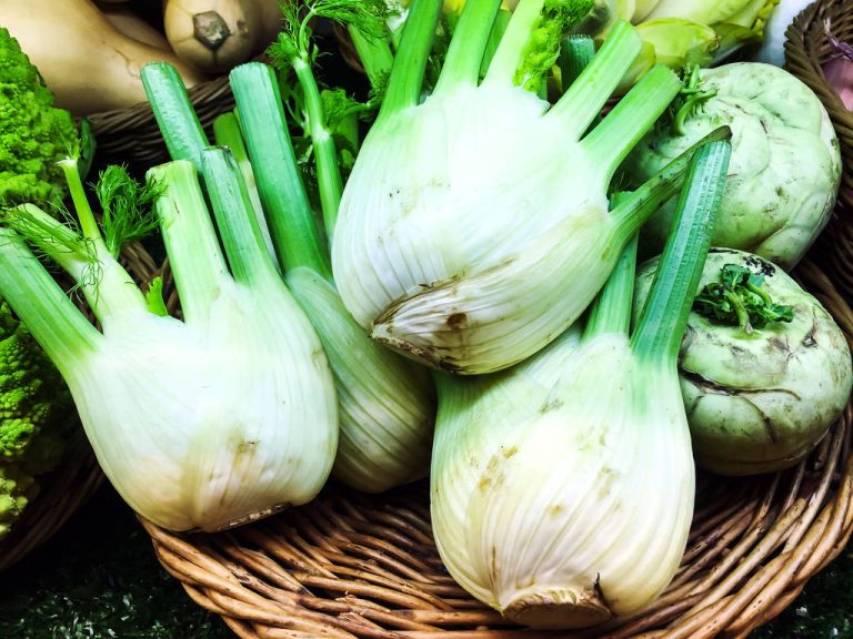 Eating Fennel Raw: What Speaks For and What Against