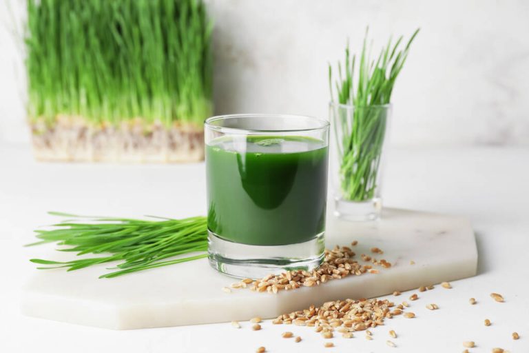 Wheatgrass Juice: Healthy Miracle Cure or Excessive Hype?