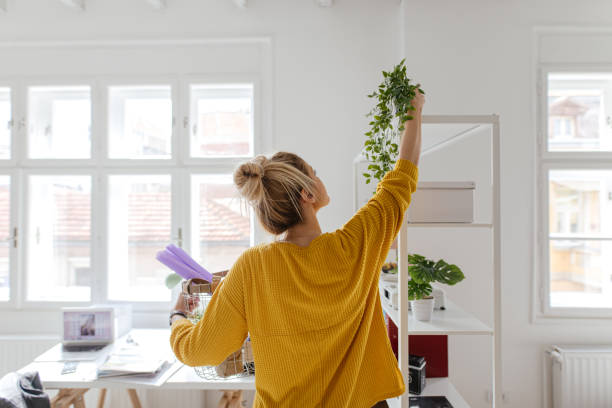 Ideas for Furnishing Your Own Home
