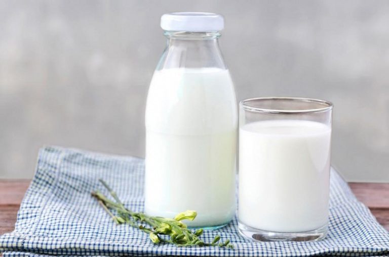 Hay Milk and Pasture Milk – What is It All About?