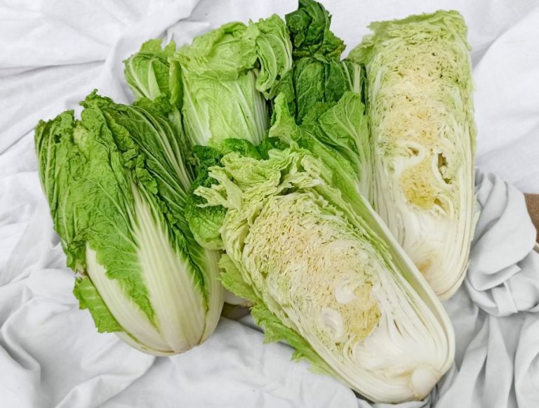 Chinese Cabbage is Healthy