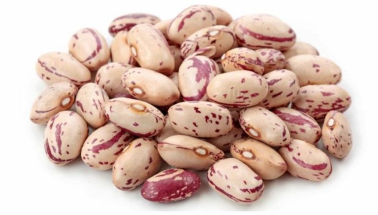 Eating Beans Raw: Why It’s Not a Good Idea