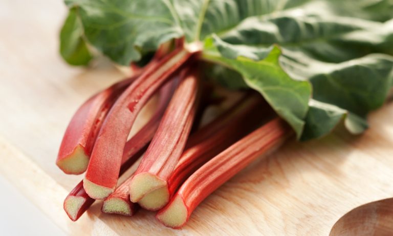 Freeze Rhubarb: with or without Blanching?
