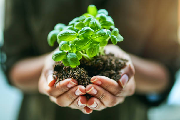 5 Tricks for More Environmental Protection in the Household