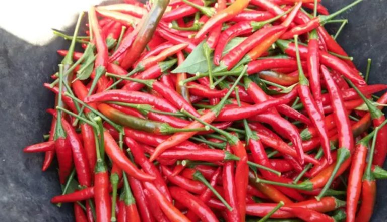 Neutralize Sharpness: 10 Tips and Tricks