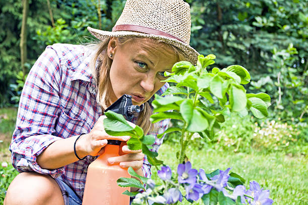 7 Home Remedies to Fight Aphids