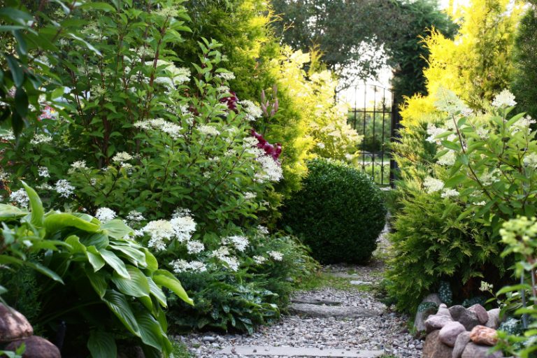 Insect-friendly Gardening