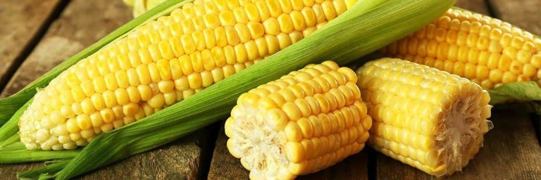 Boiling Corn on the Cob: That’s How Long It Takes and You Have to be Careful