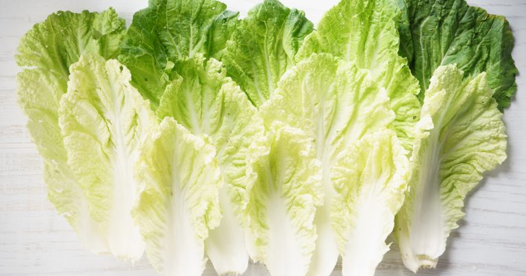 Eat Chinese Cabbage Raw: That’s Why It’s Good for Salads