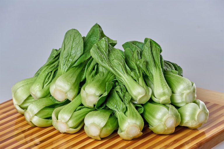 Eating Pak Choi Raw: You Should Know That