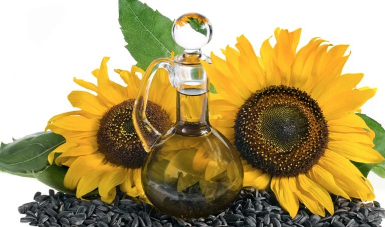 Make and Use Sunflower Seed Butter Yourself: This is How It Works