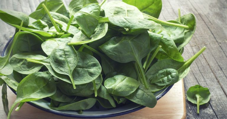 Freezing Spinach: This is How It Stays Fresh