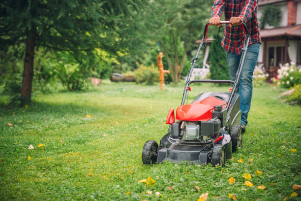 Gardening Equipment Tips