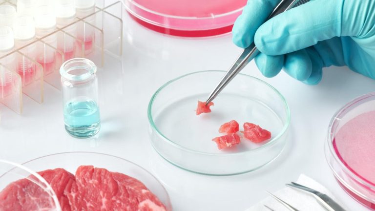 For the First Time in the Restaurant: Meat From the Laboratory