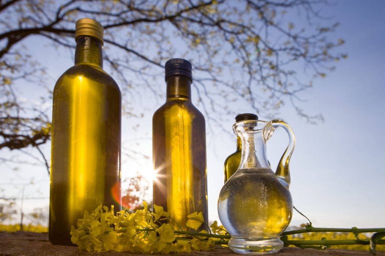 Rapeseed Oil or Sunflower Oil: When to Use Which Oil?