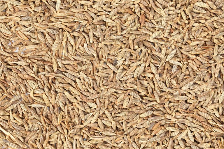 Miracle Spice: Cumin Helps With Weight Loss and Gastrointestinal Problems