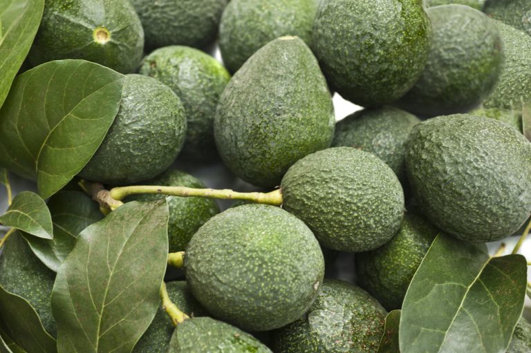 Less Stress: 7 Foods That Help You Relax