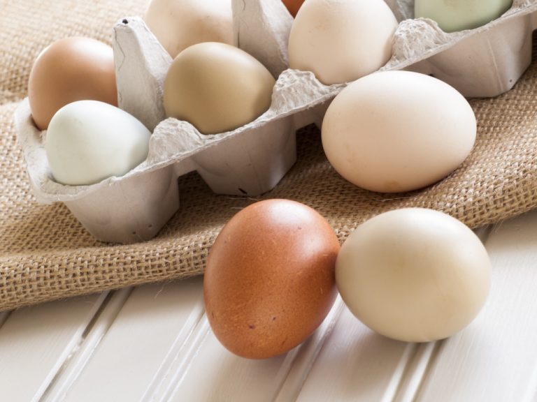Protein Bombs: These Plant Foods Have More Protein Than Eggs