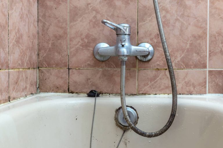 Mold in The Bathroom: You Have To Pay Attention To That