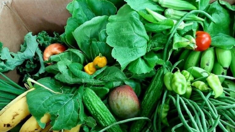 Are there any unique ingredients used in Saint Kitts and Nevis cuisine?