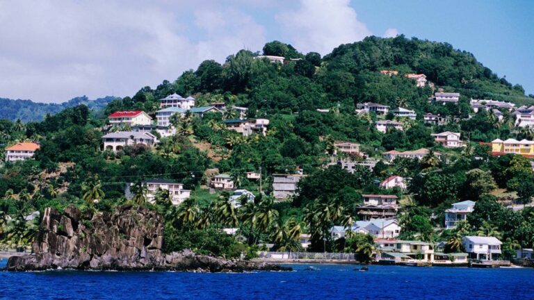 How has the country’s historical background and natural resources influenced Saint Vincent and the Grenadines cuisine?