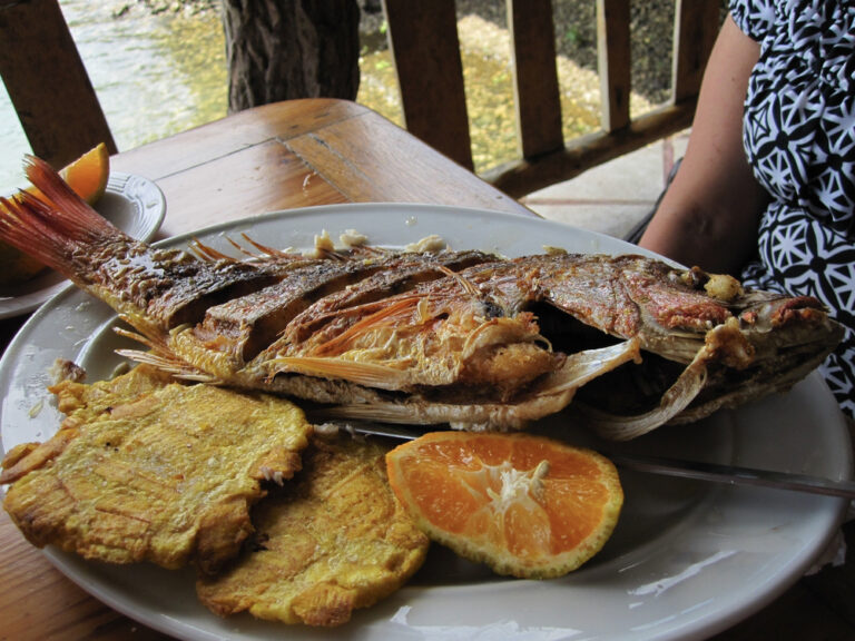 Can you tell me about the influence of Spanish, Indigenous, and Afro-Caribbean cuisines on Panamanian cuisine?