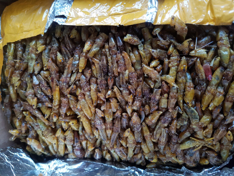Are there any Ugandan dishes that are unique to the country?