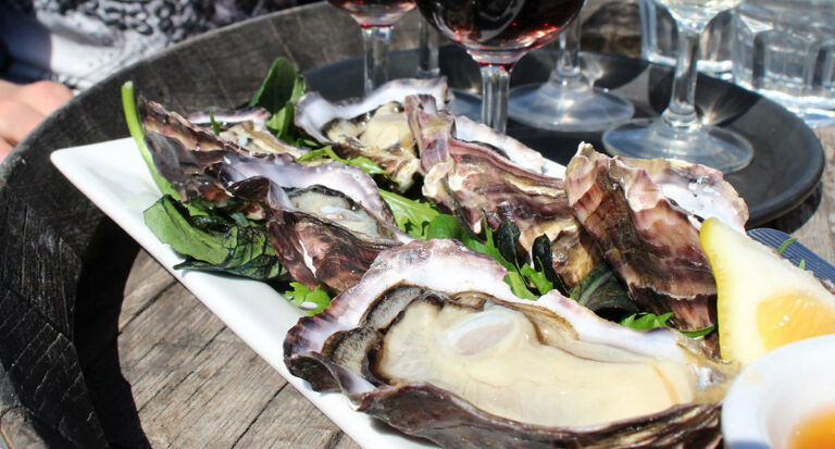 Can you tell me about the influence of British and Pacific Island cuisines on New Zealand cuisine?