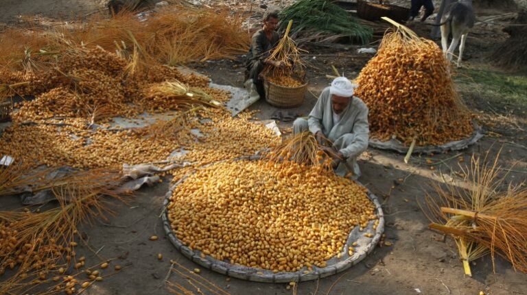 Can you find any influences from Libyan agriculture or desert resources in the cuisine?