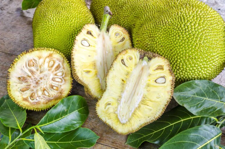 Are there any unique fruits or vegetables grown in the Marshall Islands?