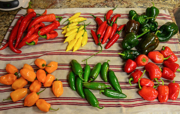 Is Portuguese cuisine spicy?