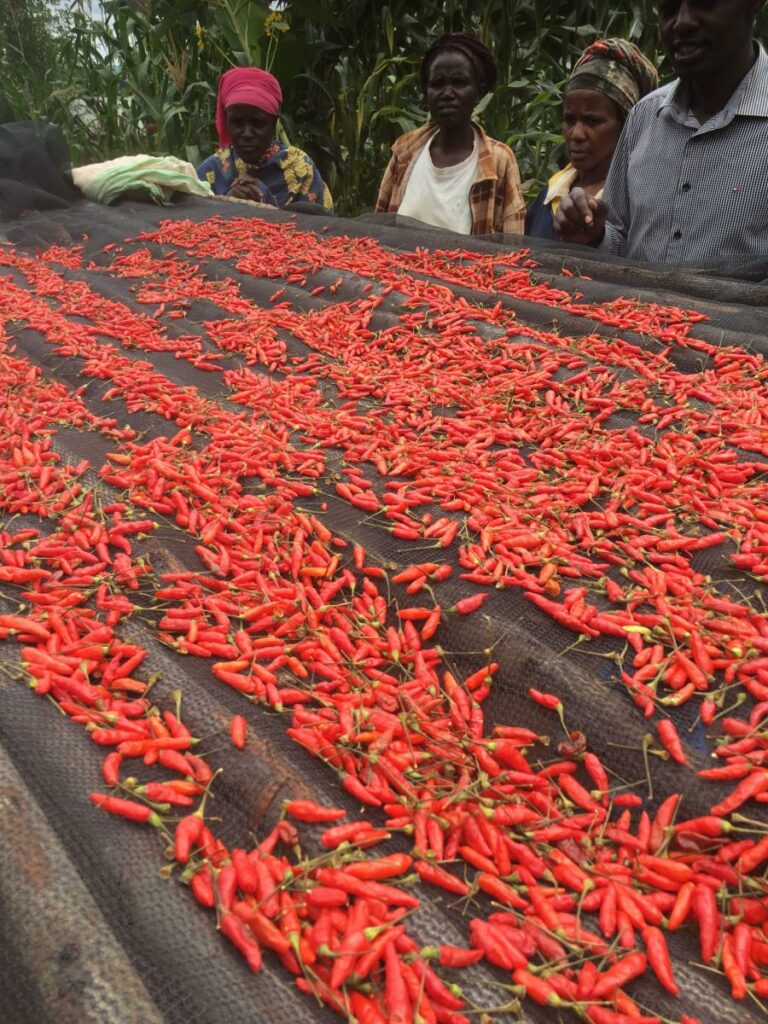 Is Rwandan cuisine spicy?