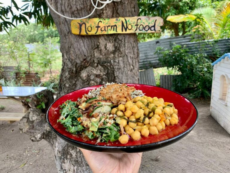 Are there vegetarian options available in Saint Kitts and Nevis cuisine?