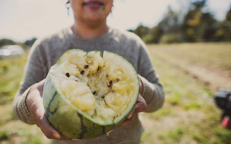 What are some popular ingredients used in Marshall Islands cuisine?