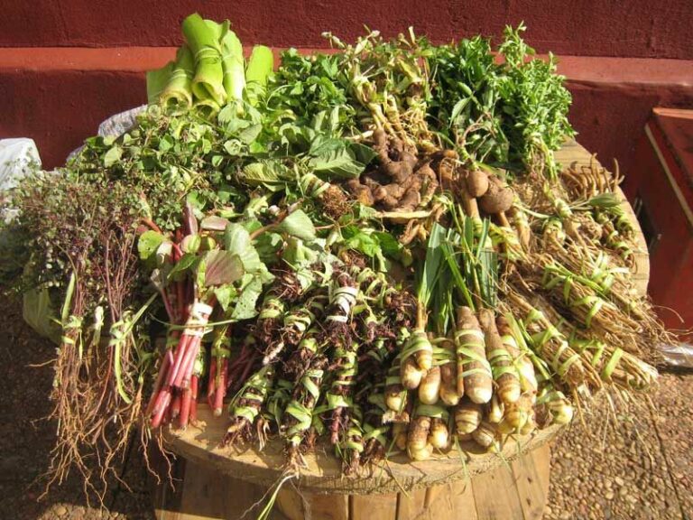 What are some common spices and herbs used in Paraguayan cooking?