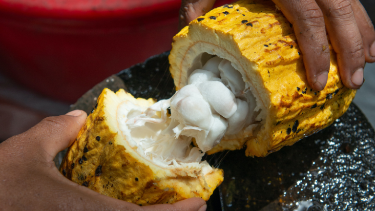 Is street food common in Central African Republic?
