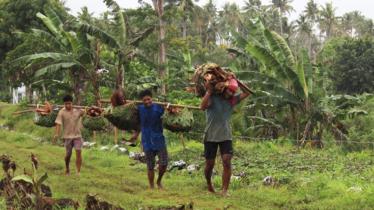How has Samoa’s geographic location and agricultural practices influenced Samoan cuisine?